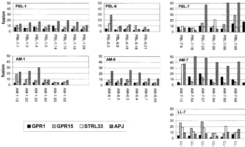 FIG. 4. Fusion mediated by the primary-isolate envin the legend to Fig. 2. Data represent the means of at least three independent experiments for each clones and the orphan receptors GPR1, GPR15, STRL33, and APJ