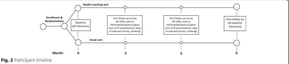 Fig. 2 Participant timeline