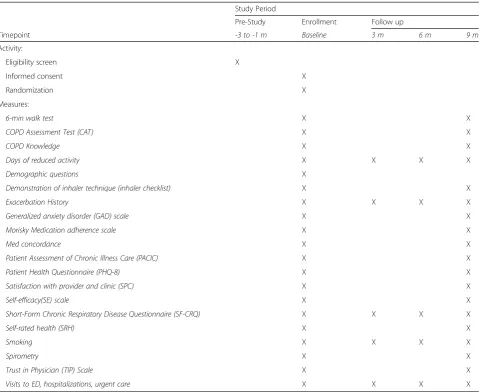 Table 1 Study measurements