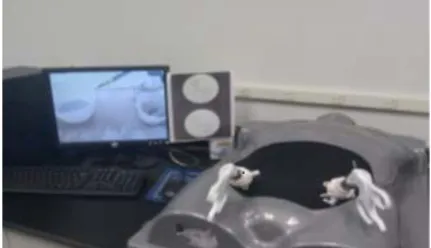 Figure 3. Torso-shaped laparoscopic training box (ProMIS simulator). 