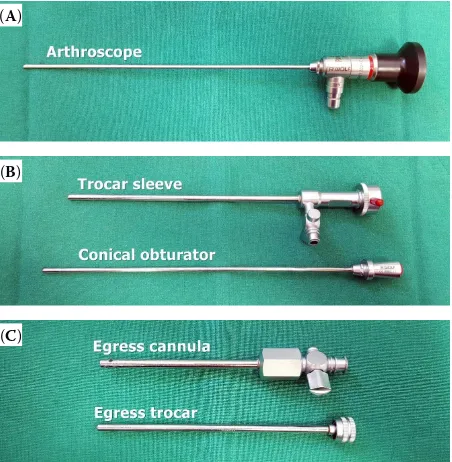 Figure 1. Surgical instruments used in arthroscopic sur-gery; (A) 2.7 mm 30° fore-oblique arthroscope; (B) trocar sleeve and conical obturator; (C) egress cannula and egress trocar