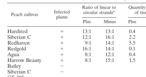 TABLE 1. Quantitative analysis of PLMVd in peach tissue