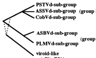 FIG. 4. Schematic phylogenetic reconstruction of viroids and viroid-like sat-ellite RNAs based on physical characteristics
