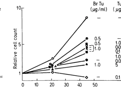 FIG. 1. Structures of BrTu and the related analogues used in the presentwork.