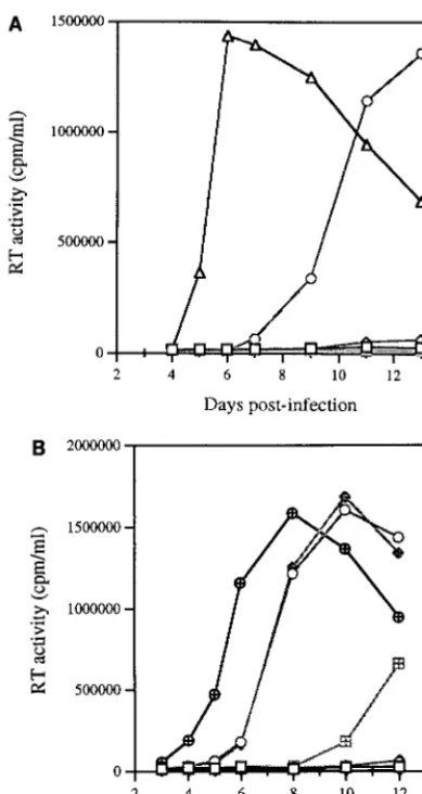 TABLE 2. Sequential appearance of various point mutations withinmutated BH10-LD3 virus after long-term culture in MT-2 cellsa