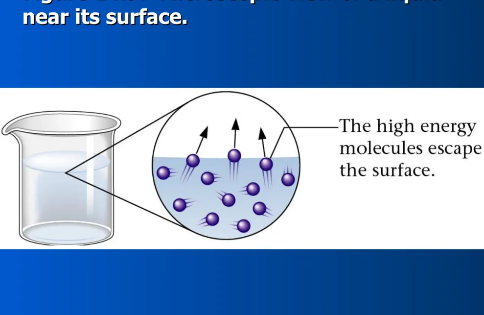 Figure 14.9:  Microscopic view of a liquid Figure 14.9:  Microscopic view of a liquid 