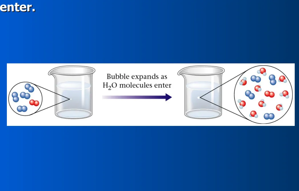 Figure 14.13:  Bubble expands as H
