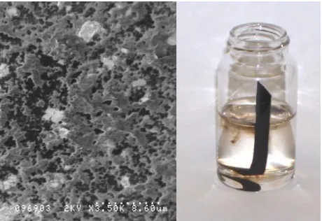 Figure 16: (Left) SEM Image of nylon CNT composite (Right) Nylon DMA solution penetrates CNT papers; solvent removes loosely-bound carbon  