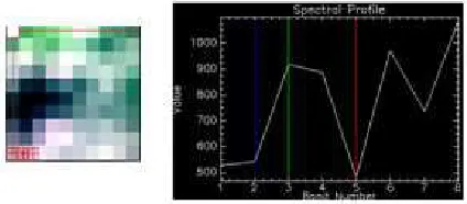Figure 8.2: Simple Chip with Anomaly and spectral proﬁle for anomalous pixel