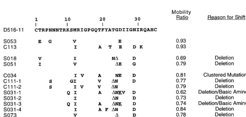 FIG. 1. Examples of V3-HTA patterns obtained with the subtype C probe.RT-PCR products were generated from viral RNA isolated from the plasma of
