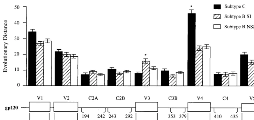FIG. 5. Evolutionary distances of segments of gp120. Groups of sequences of the gp120 coding region for subtype C, subtype B R5-like, and subtype B X4-likeviruses were assembled from the Los Alamos HIV-1 Sequence Database