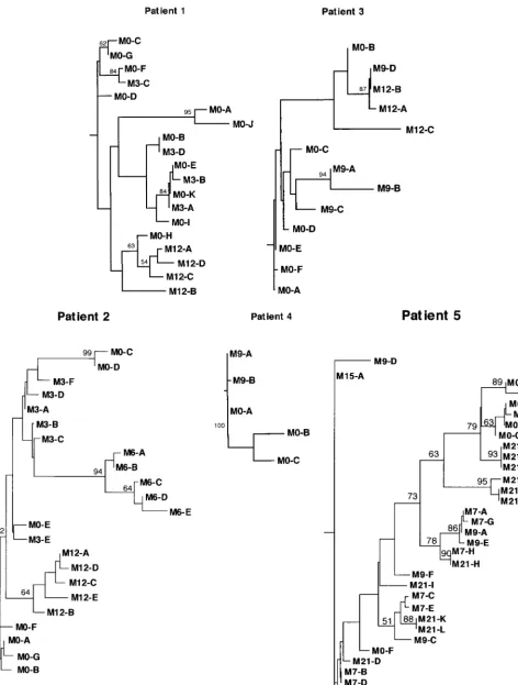 FIG. 3. Phylogenetic trees of HVR1 in the ﬁve patients studied before IFN treatment and at various times during and after therapy