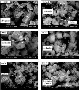 Figure 10 illustrates the crack propagation in cement paste fired at 300˚C - 750˚C. Minor cracks (about 0.1 mm in width) appeared on the surface of cement paste that was fired at 300˚C
