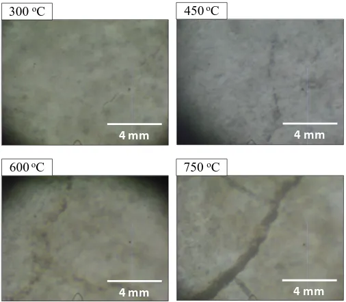Figure 10. Crack propagation in cement paste fired at 300˚C - 750˚C. 