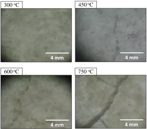 Figure 10. Crack propagation in cement paste fired at 300˚C - 750˚C. 