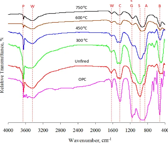 Figure 7. TGA thermograms of cement pastes fired at 300˚C - 750˚C. 