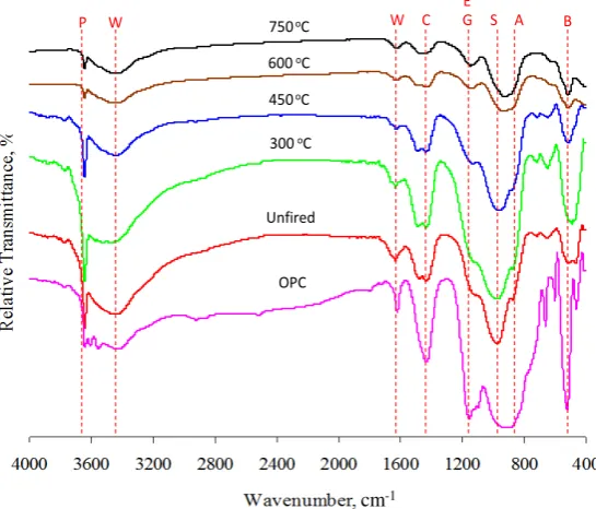 Figure 7. TGA thermograms of cement pastes fired at 300˚C - 750˚C. 
