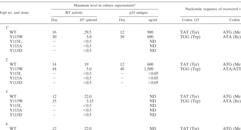 TABLE 1. Cell transfections with HIV-1 cDNA clones