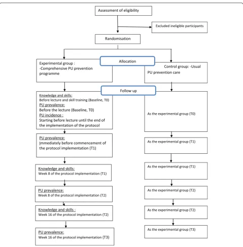 Fig. 1 Flow diagram of the overall study design for the trial