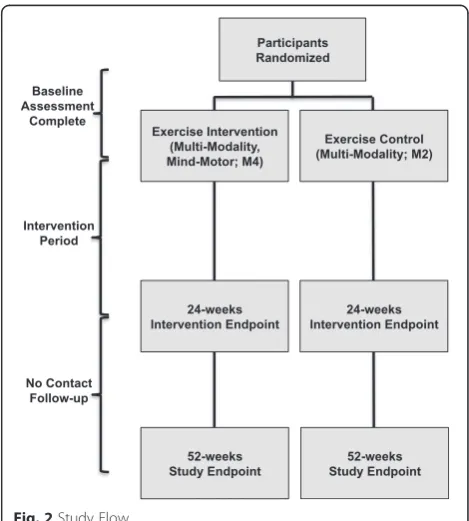 Fig. 1 Description of Square Stepping Exercise (SSE). Participants arerequired to progress across a gridded floor mat while completingsteps that are identical to a previously demonstrated foot placementpattern