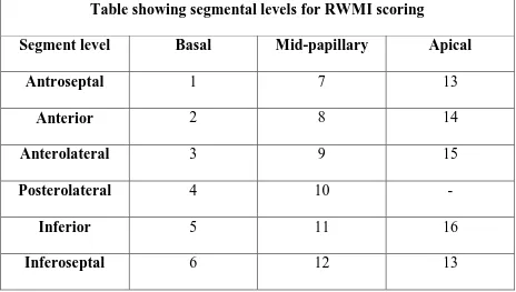 Table showing segmental levels for RWMI scoring 