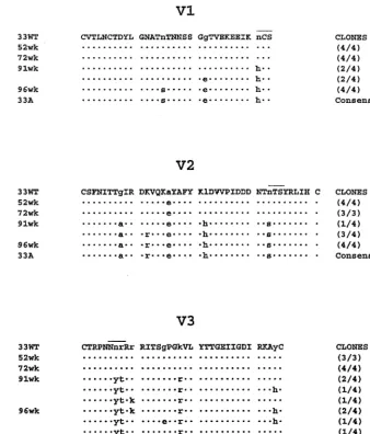 FIG. 1. Amino acid alignment of the V1, V2, and V3 domains of SHIVSF33in parentheses represent the numbers of clones displaying the indicated sequence divided by the total number of clones sequenced; the consensus sequence of theSHIVencoding the V1 to V5 r