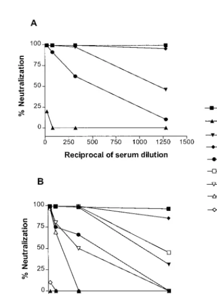 FIG. 2. Replication of SHIVSF33The viral inocula were then removed, and the infected cells were maintained inculture media