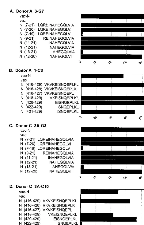TABLE 2. Nucleocapsid peptide recognition of CD8� CTL lines