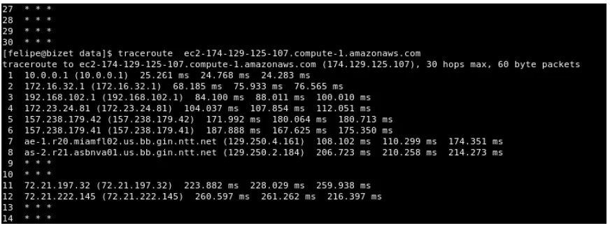 Figure 8 Using the Traceroute command 