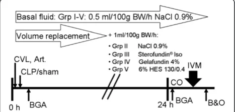 Figure 1 Experimental setup. All animals were randomized andanalysed in a blinded fashion