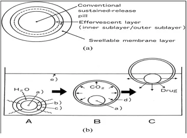Fig-6 Pictorial diagram for multiple units of floating drug delivery system using gas