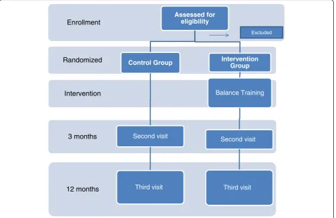 Fig. 1 Flowchart study design