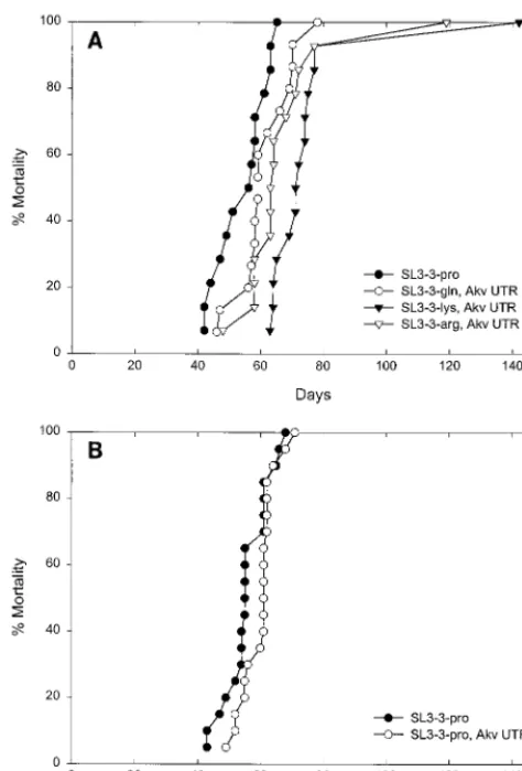 TABLE 1. Lymphoma induction in inbred NMRI mice by wt SL3-3 and mutant-PBS viruses