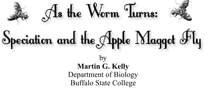 Figure 1: Apple maggot flies  