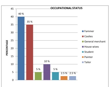 Table 4                                     OCCUPATIONAL STATUS 