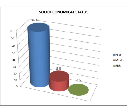 Table 5 SOCIO ECONOMIC STATUS 