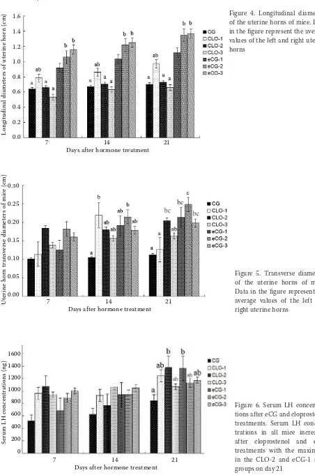 Figure 6. Serum LH concentra-tions after eCG and cloprostenol treatments. Serum LH concen-trations in all mice increased after cloprostenol and eCG treatments with the maximum in the CLO-2 and eCG-1 sub-groups on day 21