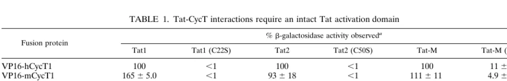 FIG. 2. Interactions between Tat proteins and cyclins in vivo. The ability ofthe indicated lentiviral Tat proteins and human and murine cyclins to interact