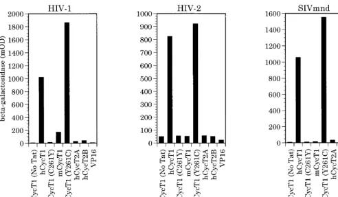 FIG. 3. RNA binding activities of different cyclin T-Tat complexes. The ability of different human and murine cyclins to bind to the indicated primate immuno-deﬁciency virus TAR elements, in the presence or absence of the cognate Tat protein, was assayed b