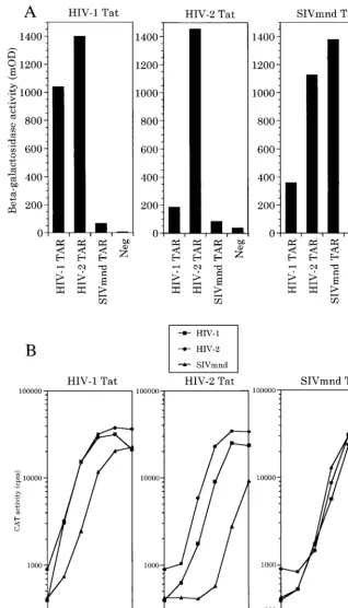 FIG. 7. The LTR promoter speciﬁcity of diverse Tat proteins is predicted by the TAR binding afﬁnity of the relevant hCycT1-Tat complex