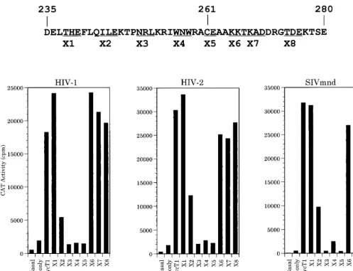FIG. 8. Mutational deﬁnition of an hCycT1 sequence motif required to mediate Tat function