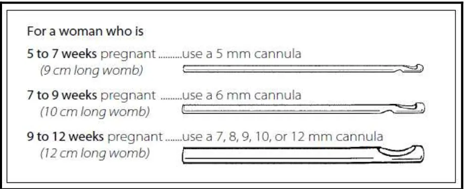 Fig 4: Measurements of Cannula 