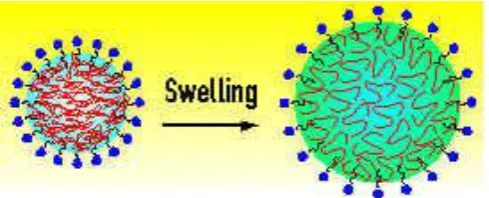 Fig: Swelling of a polymer 