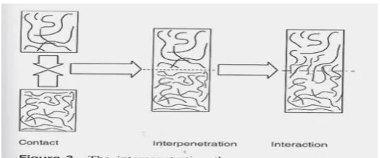Fig: The interpenetration of polymer chains 