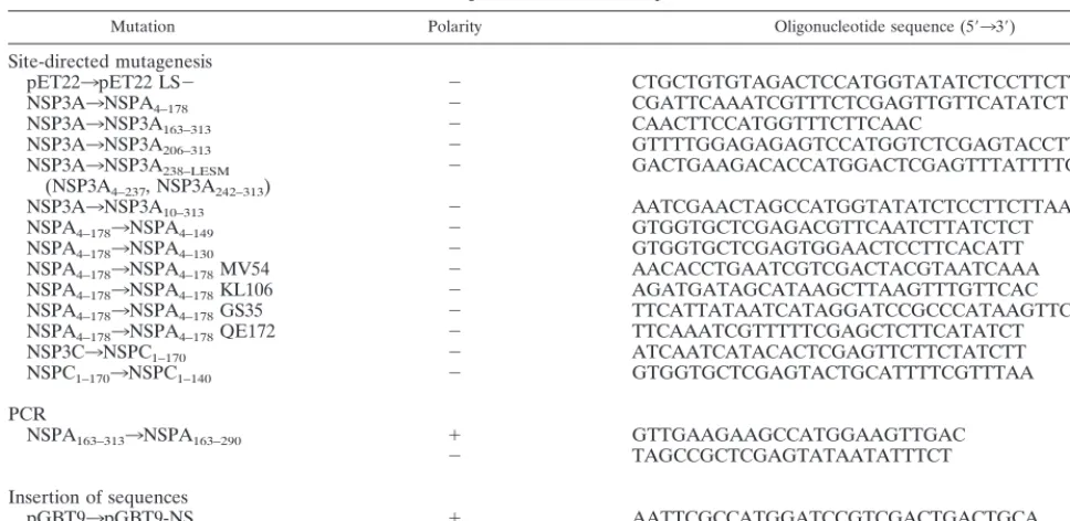 TABLE 1. Oligonucleotides used for plasmid construction