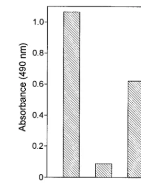 FIG. 6. Cross-linking analysis of soluble truncated E proteins. Partially pu-riﬁed E proteins were analyzed by SDS-PAGE and immunoblotting after treat-