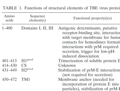 FIG. 8. Sedimentation analysis of detergent-solubilized E proteins at pH 8.0 (solid curves) or after pretreatment at pH 6.0 and back-neutralization to pH 8.0 (dashedcurves)