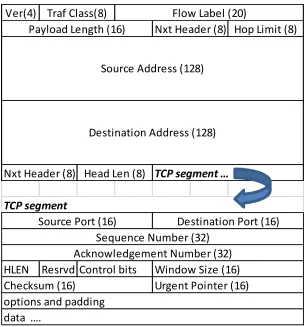 Figure 5. An IPv6 packet with a TCP protocol payload 