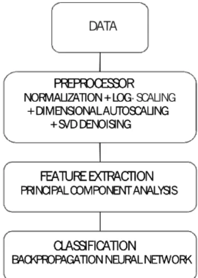 Figure 2 through Fig. 5 show PCA results of the whole 180  ´  11 data matrix generated under different noise and processing conditions
