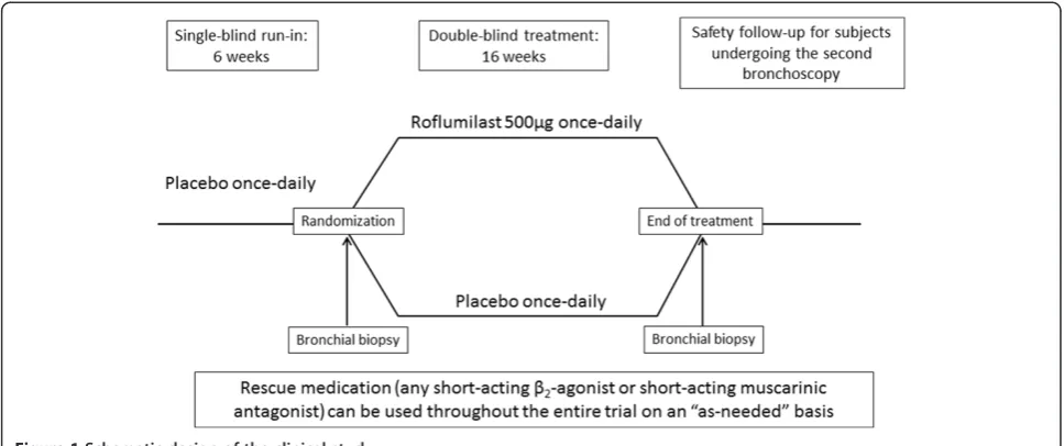 Table 1 Secondary endpoints evaluated from baseline or randomization to the end of the double-blind interventionperiod